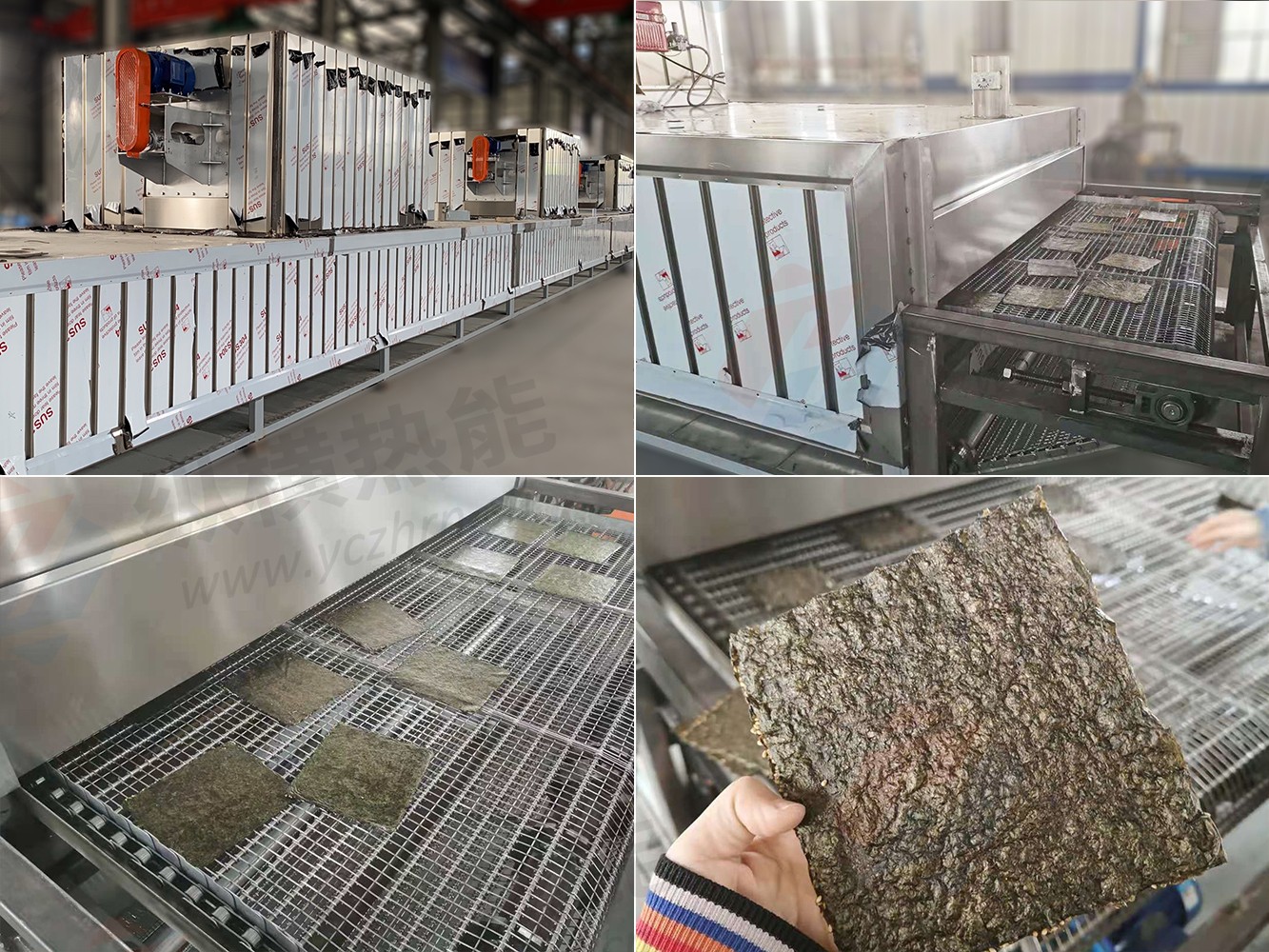 海苔烘干 拷贝z.jpg